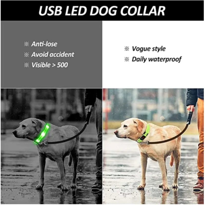 LED Light Up Dog Collar USB Rechargeable, No Batteries Needed! (Sizes 28cm-62cm)