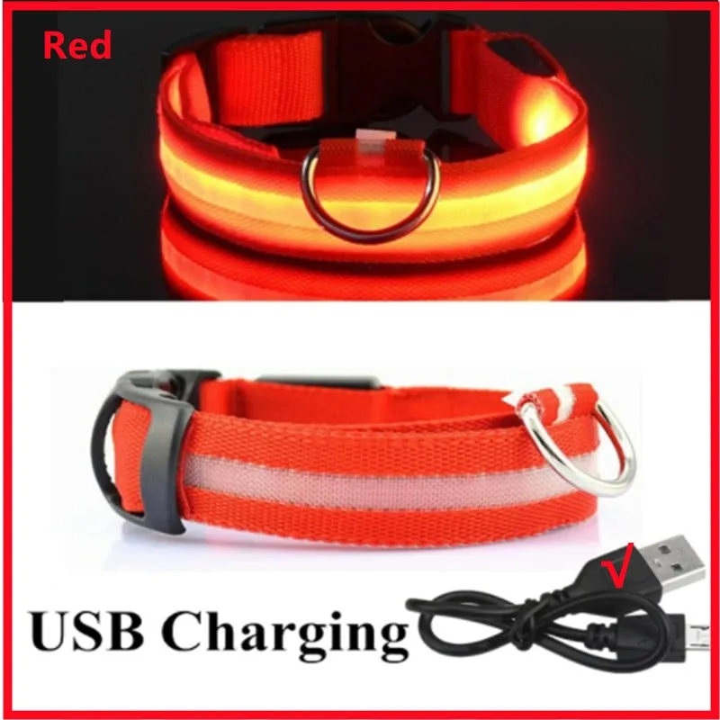 LED Light Up Dog Collar USB Rechargeable, No Batteries Needed! (Sizes 28cm-62cm)