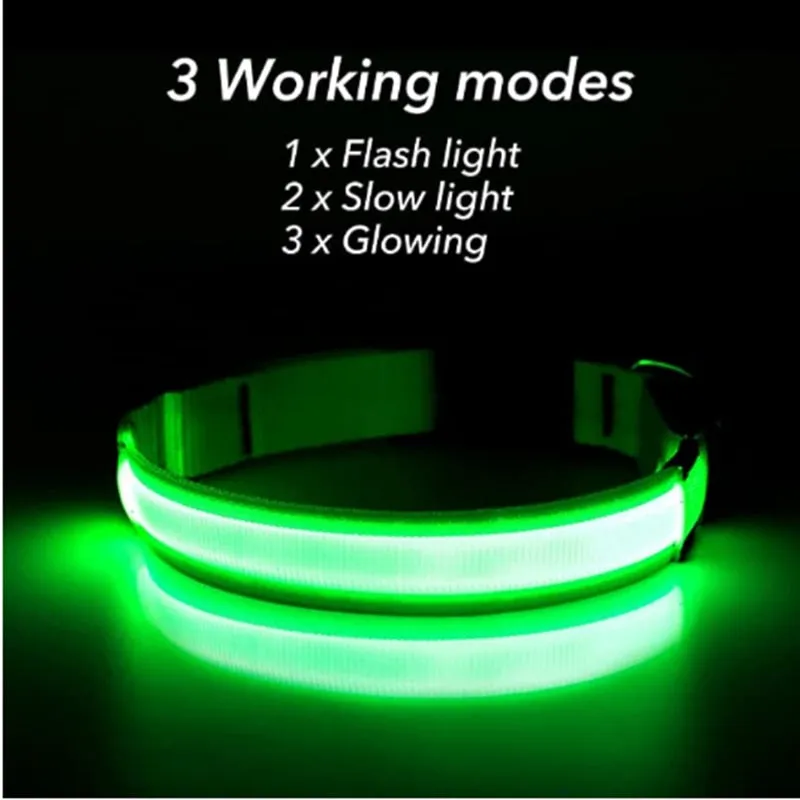 LED Light Up Dog Collar USB Rechargeable, No Batteries Needed! (Sizes 28cm-62cm)