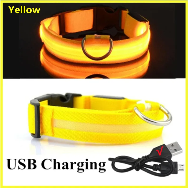 LED Light Up Dog Collar USB Rechargeable, No Batteries Needed! (Sizes 28cm-62cm)