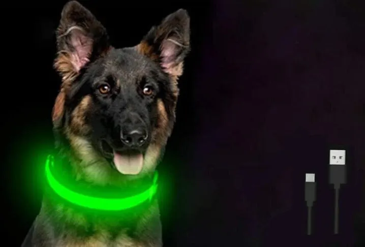 LED Light Up Dog Collar USB Rechargeable, No Batteries Needed! (Sizes 28cm-62cm)