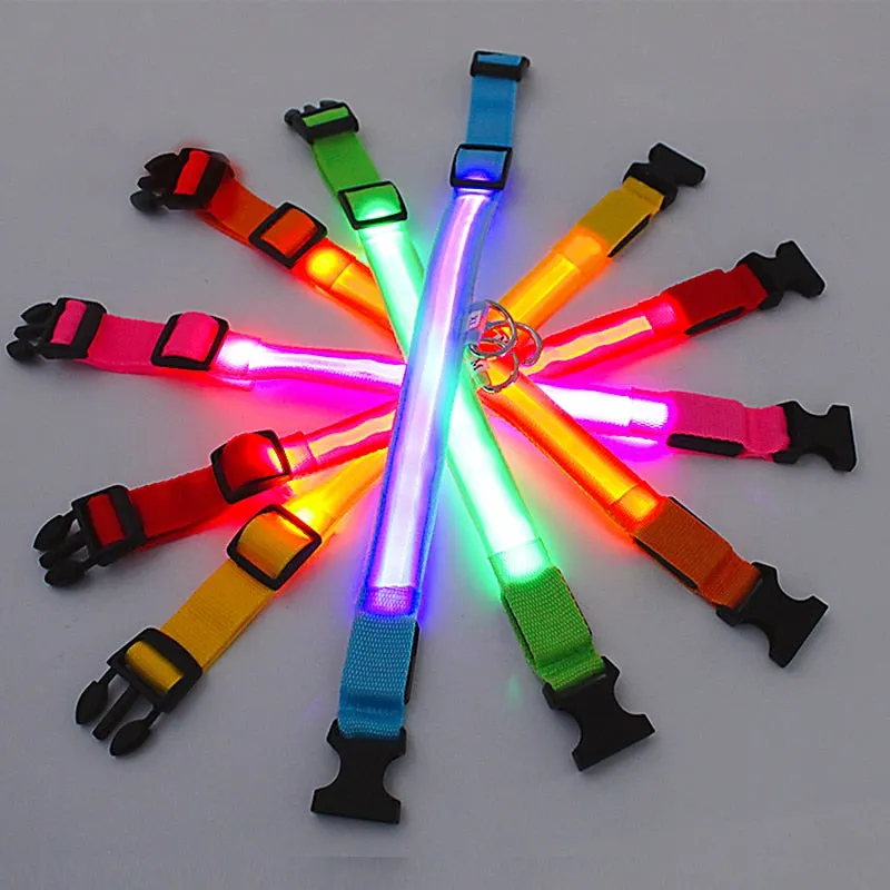 LED Light Up Dog Collar USB Rechargeable, No Batteries Needed! (Sizes 28cm-62cm)