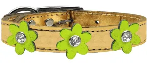 Metallic Flower Leather Collar Gold With Metallic Lime Green Flowers Size 16