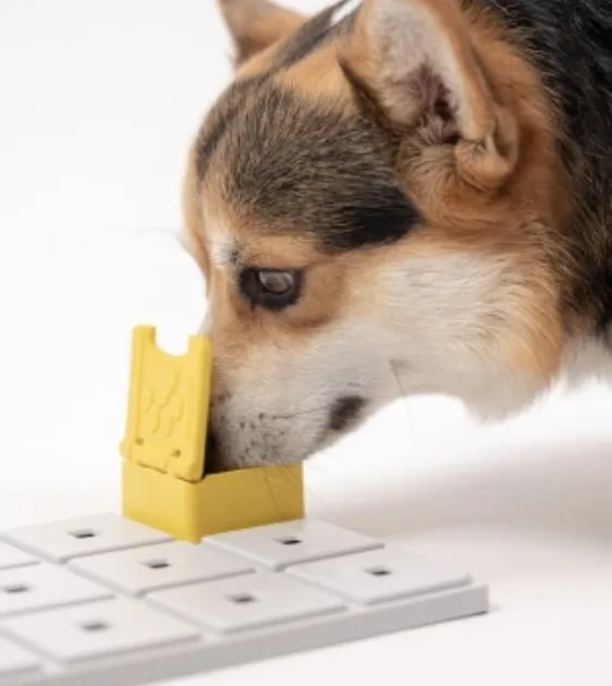 Pawzler Innovative Modular Dog Puzzles (Zoey Without Base)