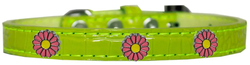 Pink Daisy Widget Croc Dog Collar Lime Green Size 10